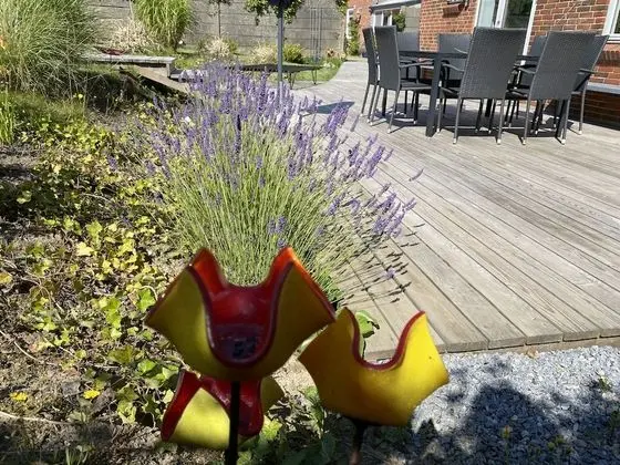 Comfort Sıra Ev, 2 Yatak Odası, Engellilere Uygun