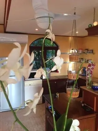 Villa, 2 Yatak Odası, Sigara İçilmez, Mutfak