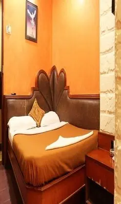 Deluxe Oda, 1 Çift Kişilik Yatak