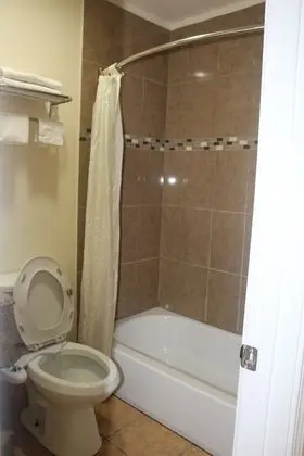 Tek Büyük Yataklı Oda, 2 Çift Kişilik Yatak, Sigara İçilebilir
