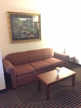 Executive Süit, 1 En Büyük (King) Boy Yatak ve Çekyat, Engellilere Uygun