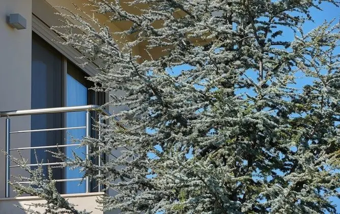 Villa, 3 Yatak Odası, Kişiye Özel Havuzlu