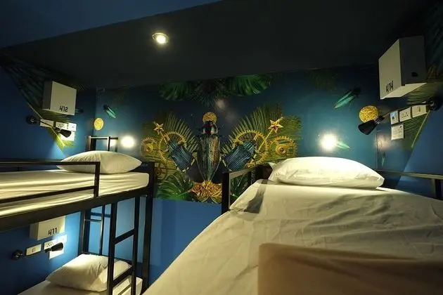 4-bed mixed dormitory room (shared bathroom)