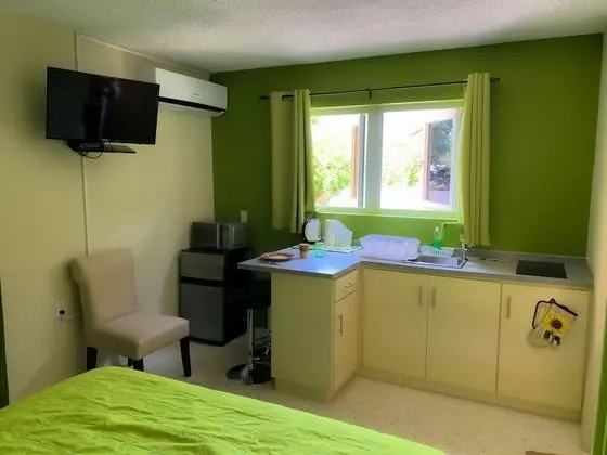Deluxe Stüdyo, 1 Büyük (Queen) Boy Yatak, Özel Banyo