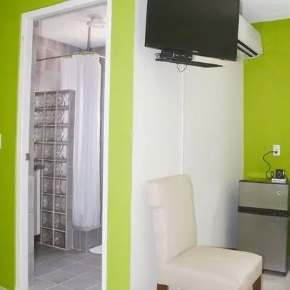 Deluxe Stüdyo, 1 Büyük (Queen) Boy Yatak, Özel Banyo