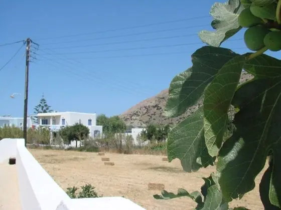 Superior Tek Büyük veya İki Ayrı Yataklı Oda, Dağ Manzaralı (Upper Floor)