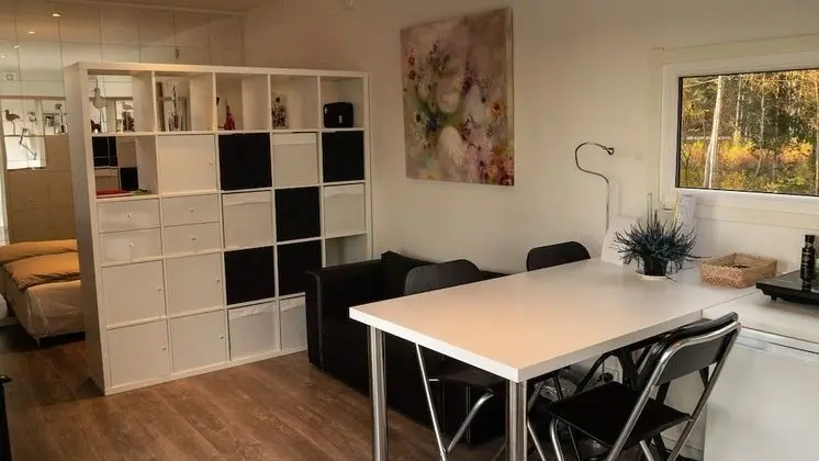 Business Cabin, 1 Bedroom, Lake View, Lakeside (Evika 3)