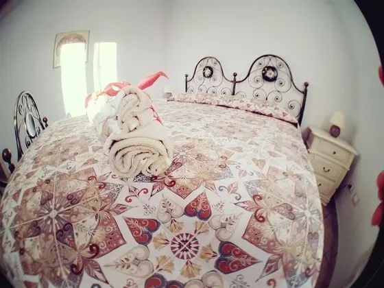 Deluxe Tek Büyük Yataklı Oda (Magnolia)