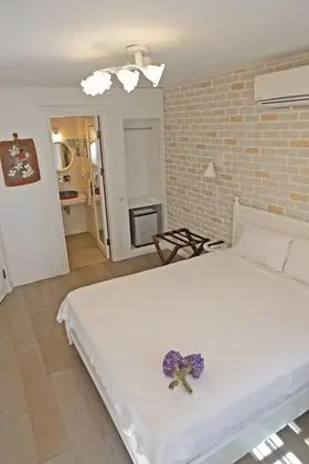 Deluxe Oda, Bahçeli (Basement/Ground Floor)