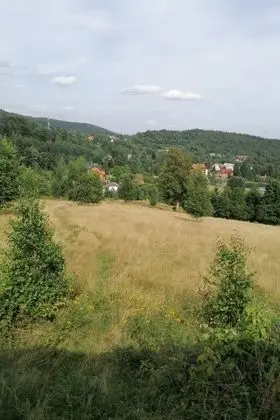 Ev