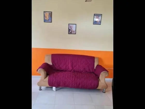 Apart Daire, 1 Yatak Odası, Buzdolabı