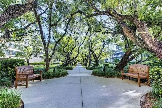 Daire (Excelsior Beach to Bay-Bayside)