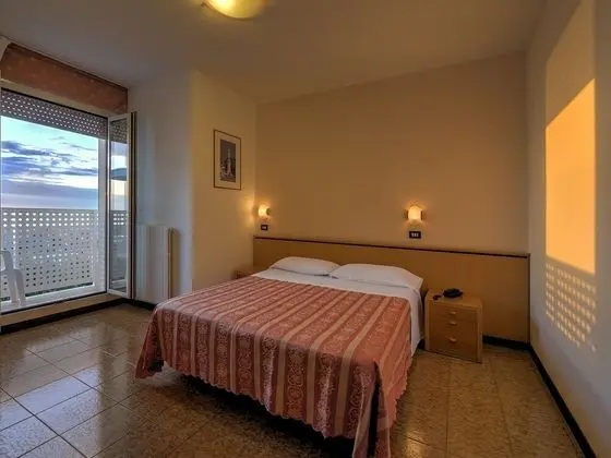 Standard Tek Büyük veya İki Ayrı Yataklı Oda, Balkon