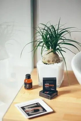 Superior Tek Büyük veya İki Ayrı Yataklı Oda, Sigara İçilmez
