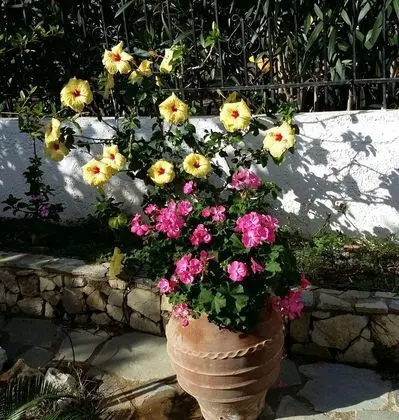Ev, 2 Yatak Odası, Balkon