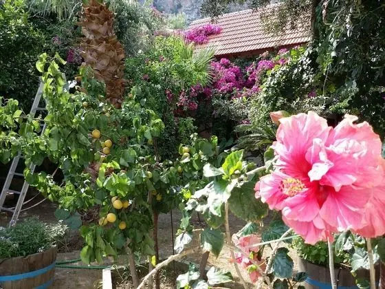 Ev, 2 Yatak Odası, Balkon
