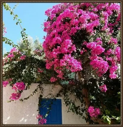 Ev, 2 Yatak Odası, Balkon