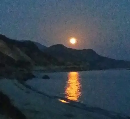Ev, 2 Yatak Odası, Balkon