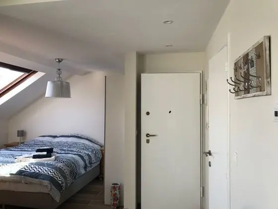 Deluxe Stüdyo Süit, 1 Yatak Odası, Şehir Manzaralı