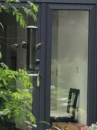 Apart Daire, Birden Çok Yatak