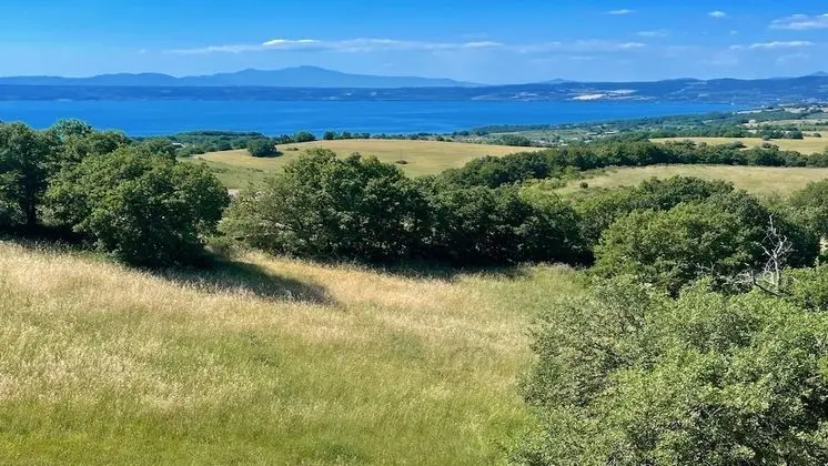 Villa, Birden Çok Yatak Odası, Balkon