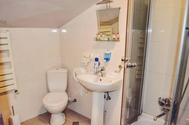Deluxe Tek Büyük Yataklı Oda (with extra bed)