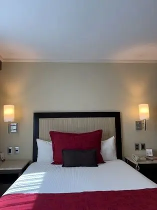 Deluxe Tek Kişilik Oda