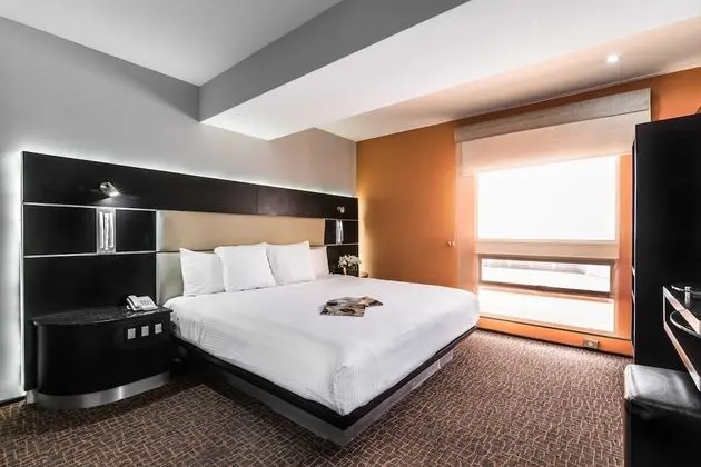 Deluxe Büyük Yataklı Tek Kişilik Oda