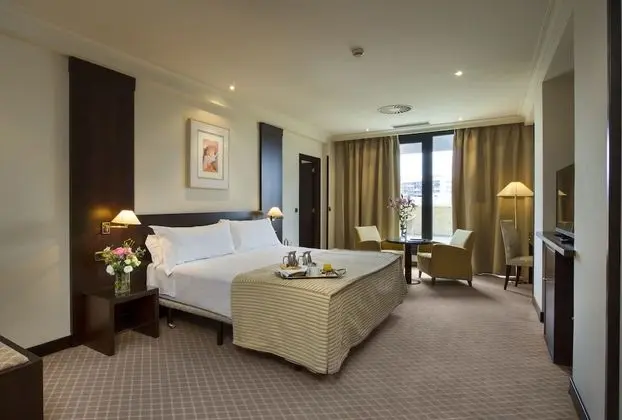 Tek Büyük Yataklı Oda (Extra bed)