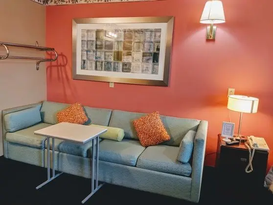 Standard Tek Kişilik Oda, 1 En Büyük (King) Boy Yatak ve Çekyat