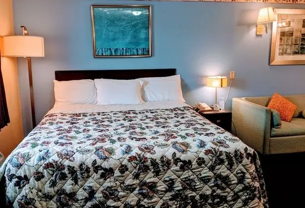 Standard Tek Kişilik Oda, 1 En Büyük (King) Boy Yatak ve Çekyat