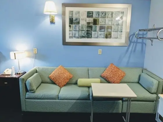 Standard Tek Kişilik Oda, 1 En Büyük (King) Boy Yatak ve Çekyat