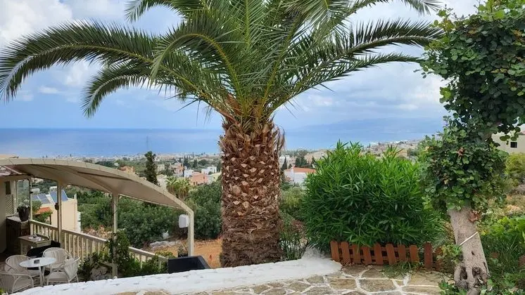 Stüdyo, 1 Yatak Odası, Balkon