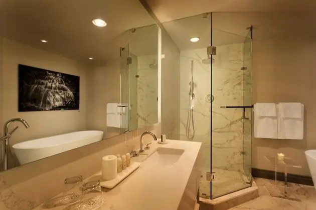 Senior Çatı Katı Süiti (Penthouse), Birden Çok Yatak