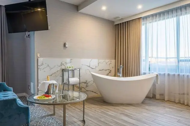 Çatı Katı Süiti (Penthouse), 1 En Büyük (King) Boy Yatak, Şehir Manzaralı