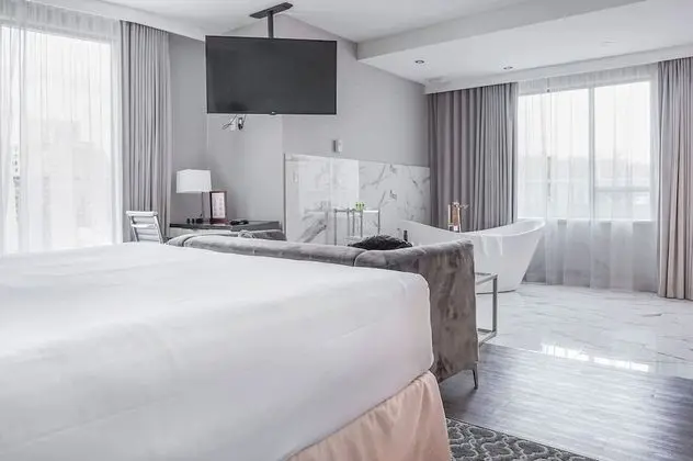 Çatı Katı Süiti (Penthouse), 1 En Büyük (King) Boy Yatak, Şehir Manzaralı