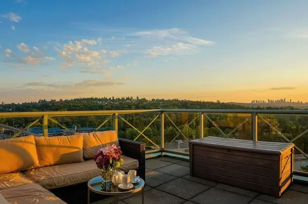 Çatı Katı Süiti (Penthouse), 1 En Büyük (King) Boy Yatak, Şehir Manzaralı