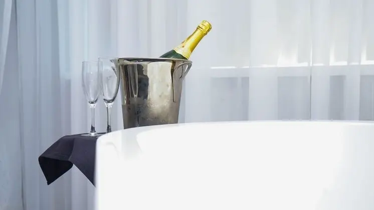 Çatı Katı Süiti (Penthouse), 1 En Büyük (King) Boy Yatak, Şehir Manzaralı