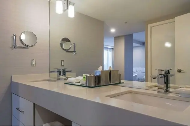 Çatı Katı Süiti (Penthouse), 1 En Büyük (King) Boy Yatak, Şehir Manzaralı