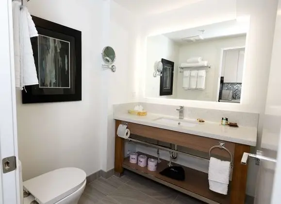 Oda, 1 En Büyük (King) Boy Yatak, Sigara İçilmez (Suite, with Sofabed,non-Pet friendly)