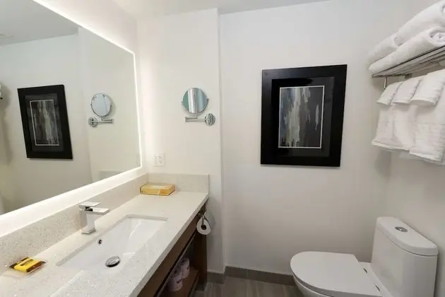 Oda, 1 En Büyük (King) Boy Yatak, Sigara İçilmez (Suite, with Sofabed,non-Pet friendly)