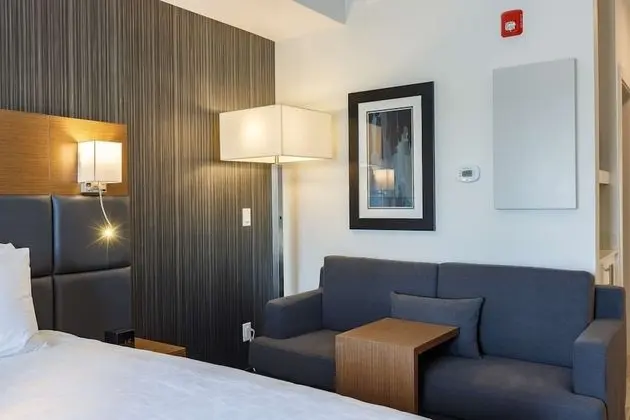 Oda, 1 En Büyük (King) Boy Yatak, Sigara İçilmez (Suite, with Sofabed,non-Pet friendly)