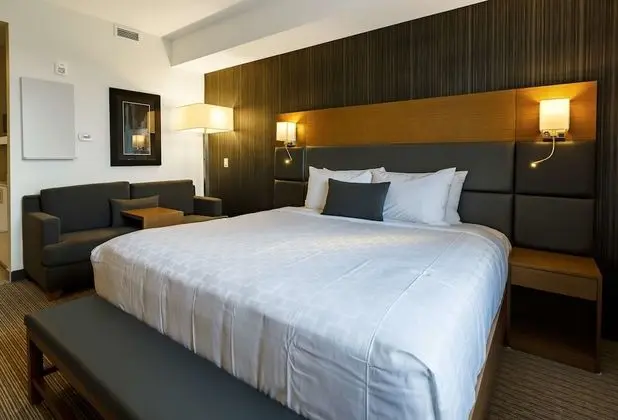 Standard Oda, 1 En Büyük (King) Boy Yatak, Sigara İçilmez, Küçük Mutfak (non-Pet friendly)
