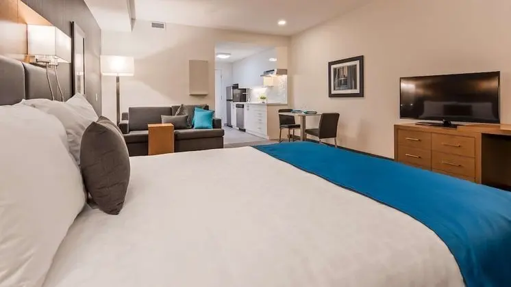 Standard Oda, 1 En Büyük (King) Boy Yatak, Sigara İçilmez, Küçük Mutfak (non-Pet friendly)