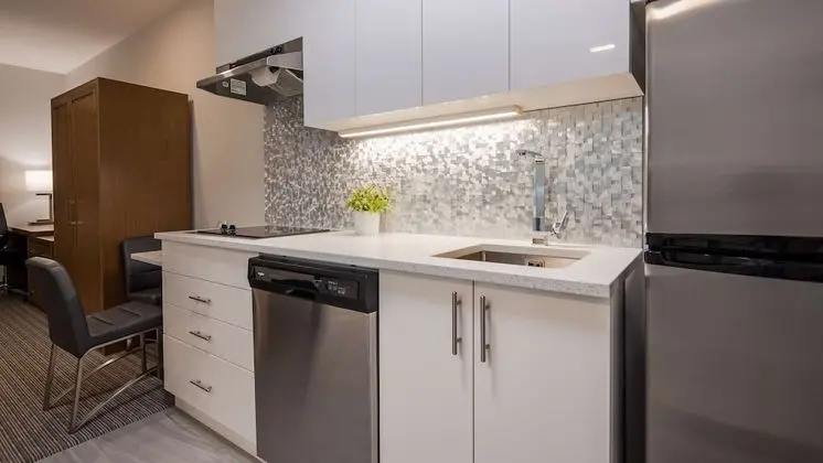 Standard Oda, 1 En Büyük (King) Boy Yatak, Sigara İçilmez, Küçük Mutfak (non-Pet friendly)