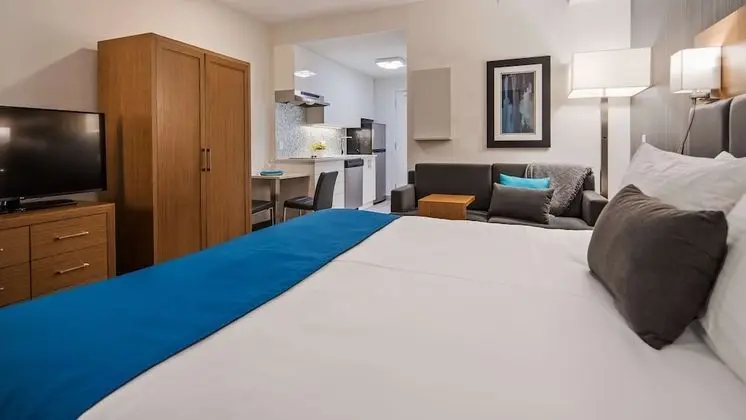 Standard Oda, 1 En Büyük (King) Boy Yatak, Sigara İçilmez, Küçük Mutfak (non-Pet friendly)