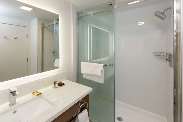 Standard Oda, 1 En Büyük (King) Boy Yatak, Sigara İçilmez, Küçük Mutfak (non-Pet friendly)