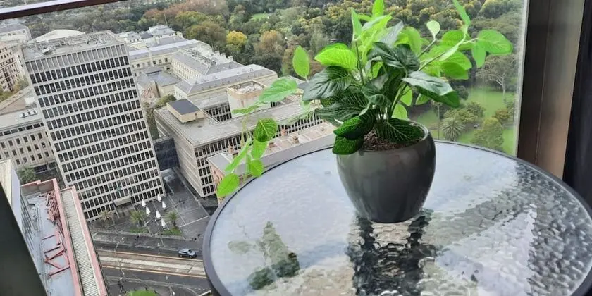 Premium Apart Daire, 1 Yatak Odası, Sigara İçilmez