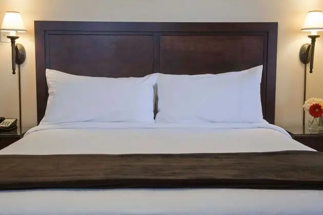 Executive Oda, 1 En Büyük (King) Boy Yatak