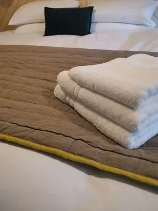 Deluxe Tek Büyük veya İki Ayrı Yataklı Oda, Banyolu/Duşlu (Room 1 )